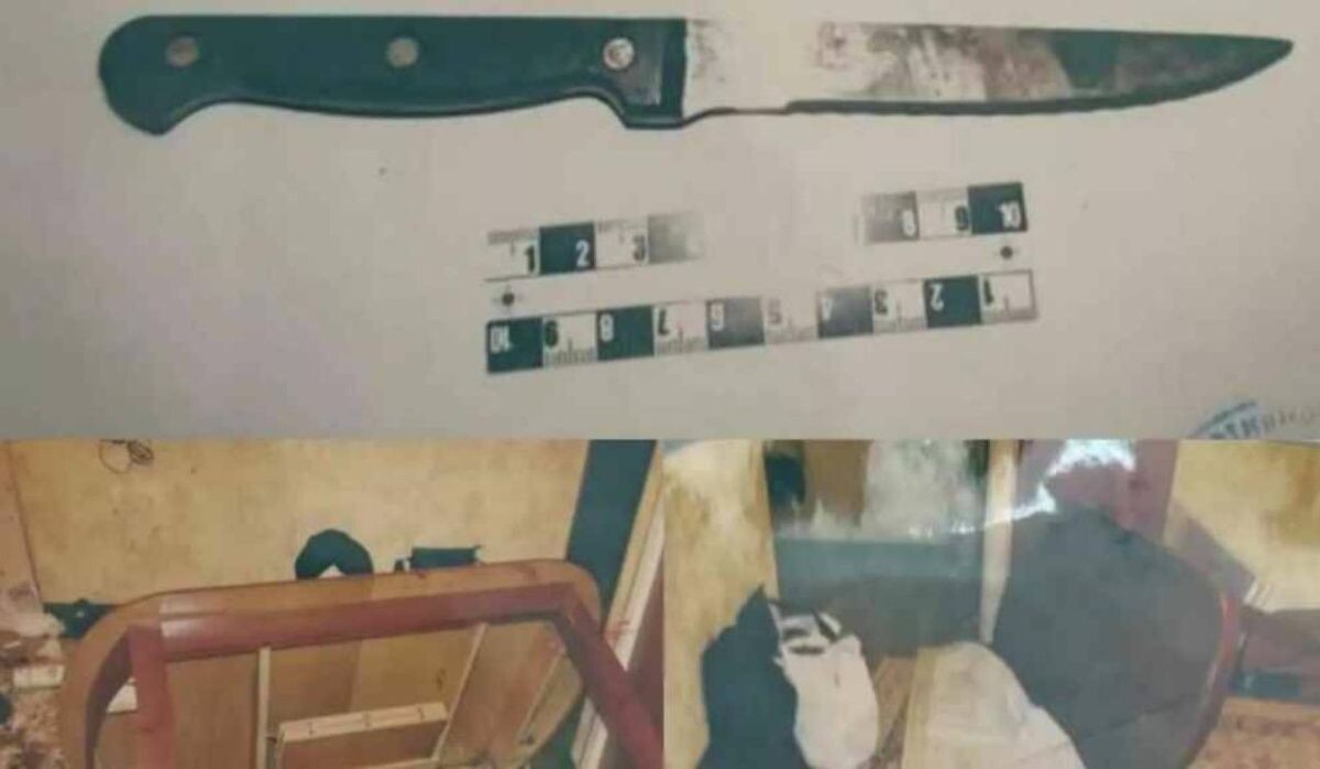     Нож. Источник: ria.ru Автор фото: Пресс-служба Прокуратура Москвы