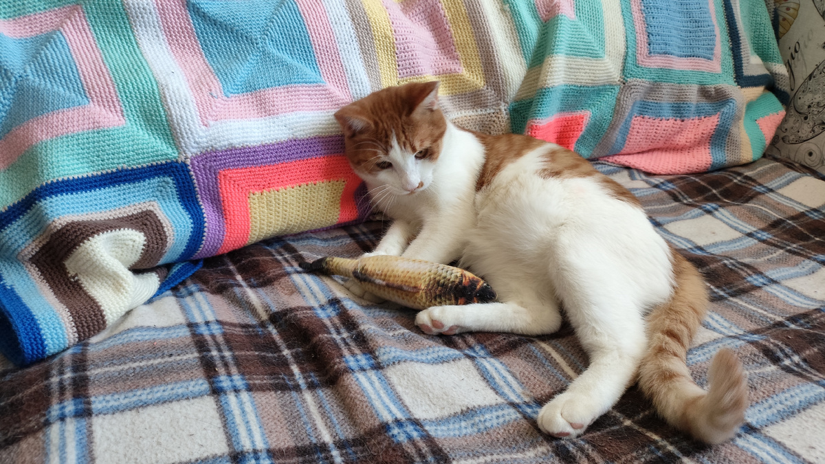 фото автора