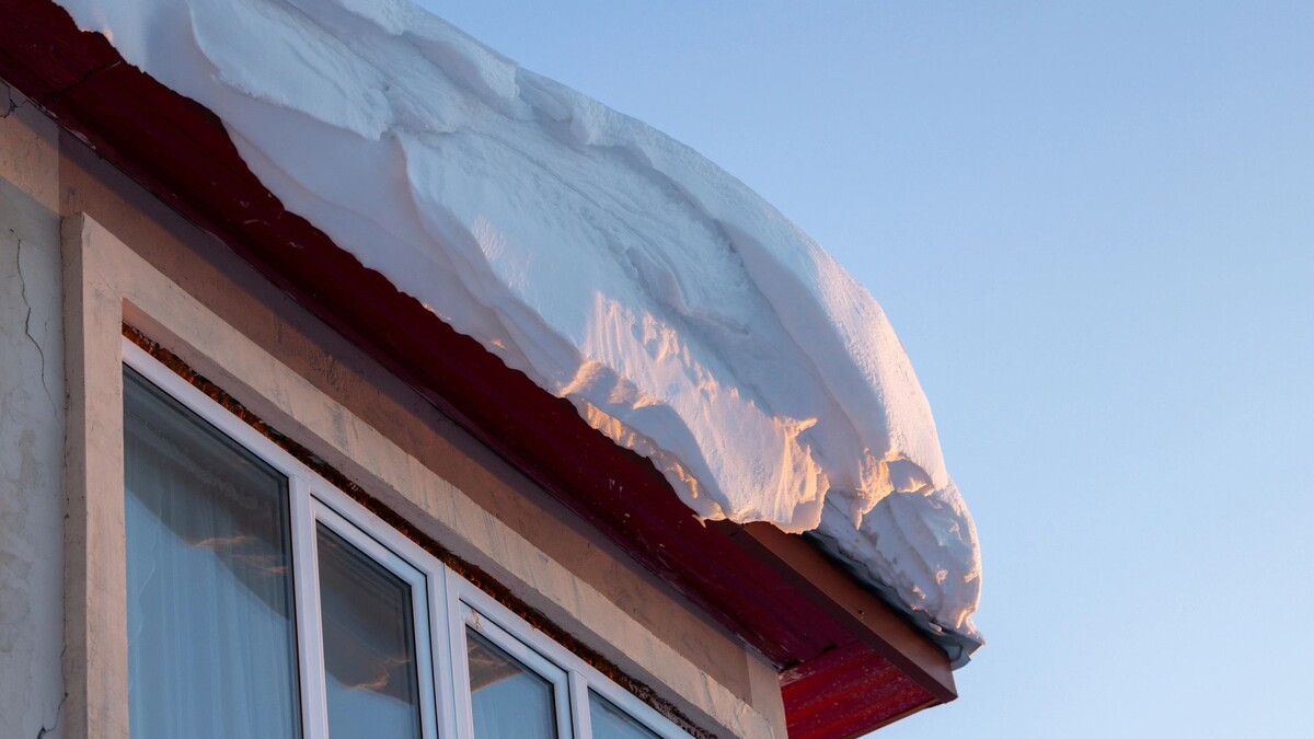    Фото: Федор Воронов / «Ямал-Медиа»