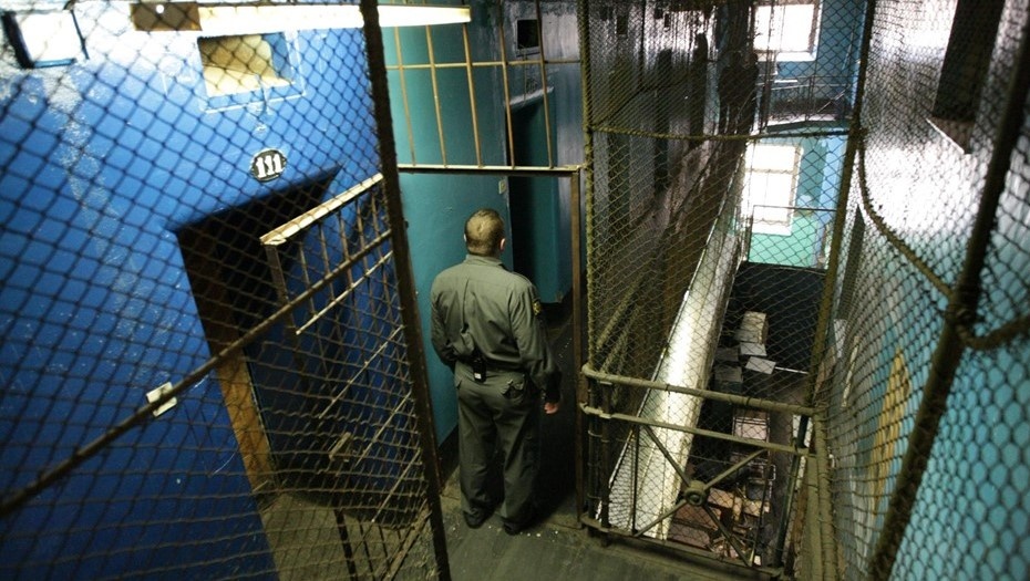    Автор фото: Спицын Михаил/ДП