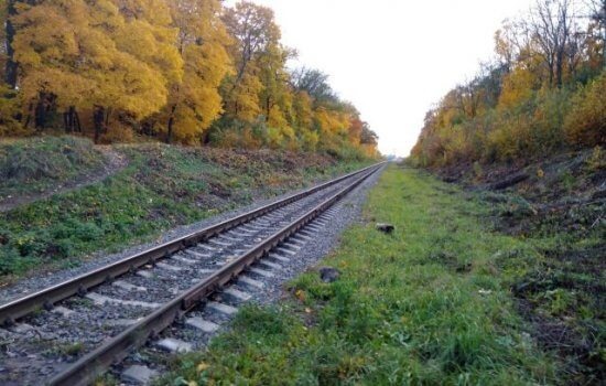    Фото: ИА «Орелград»