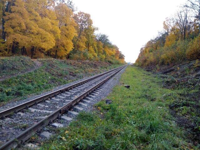    Фото: ИА «Орелград»