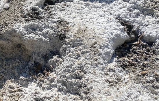    ИА "Орелград"