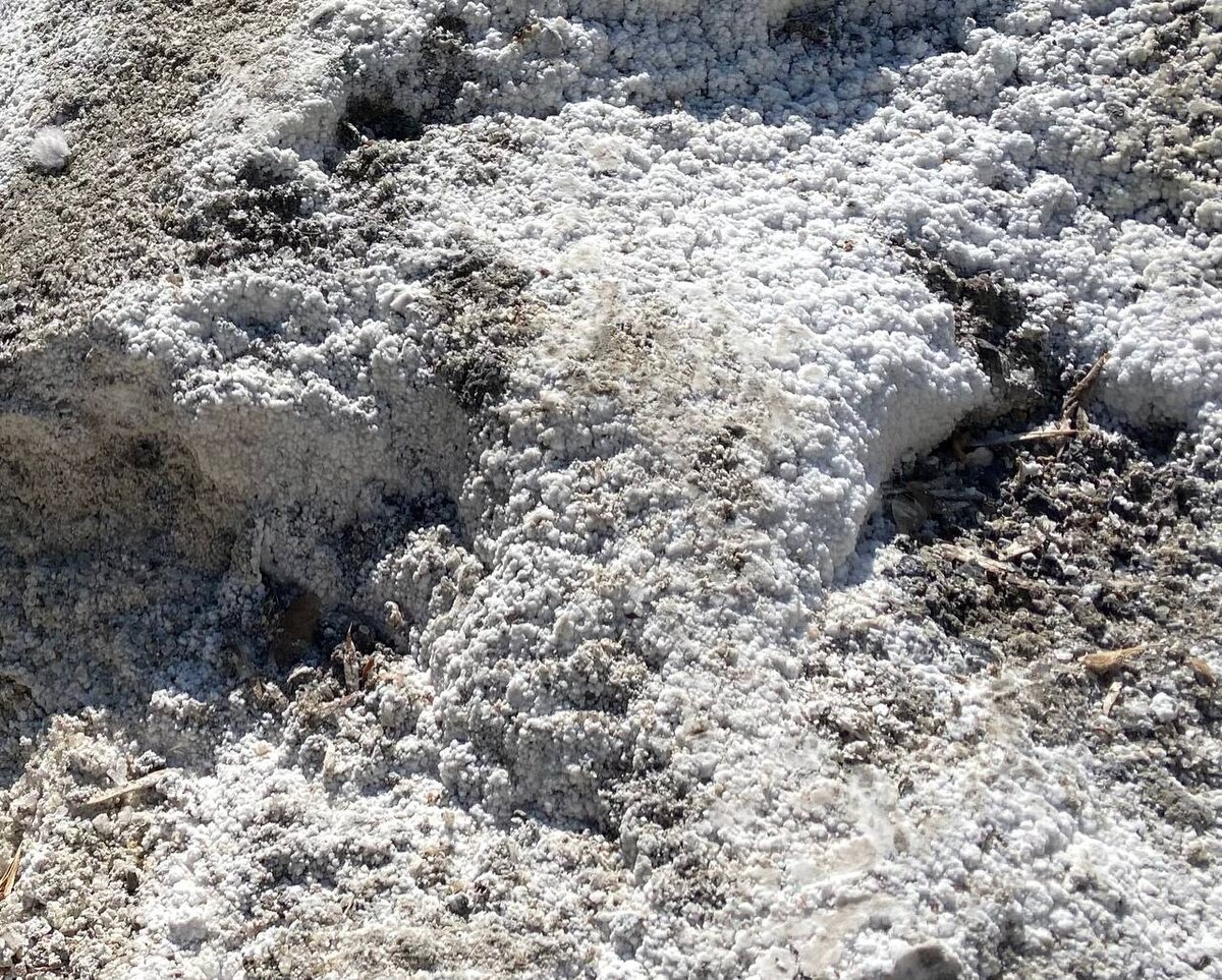    ИА “Орелград”