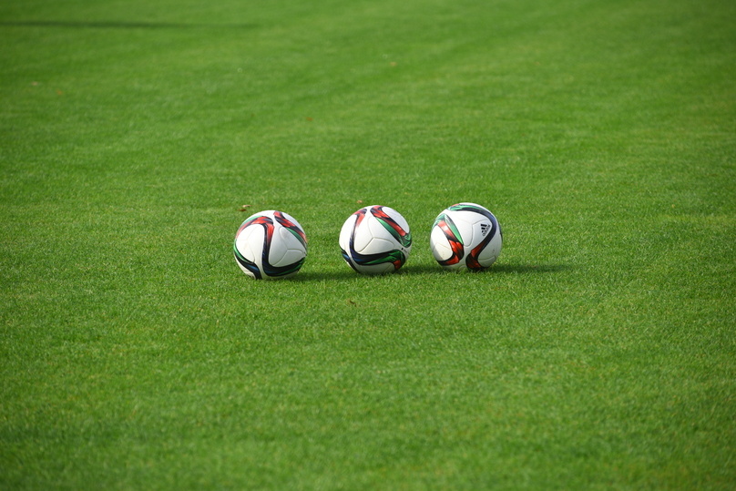     Фото: photo.mosreg