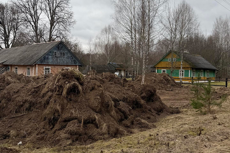    Фото: tamara_rogacheva / Threads