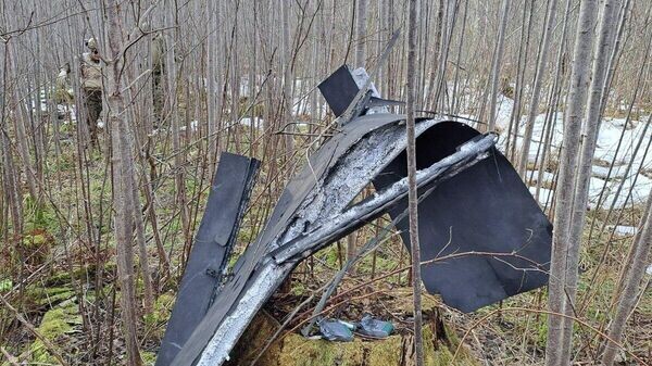    © Социальная сеть / Latvijas armija