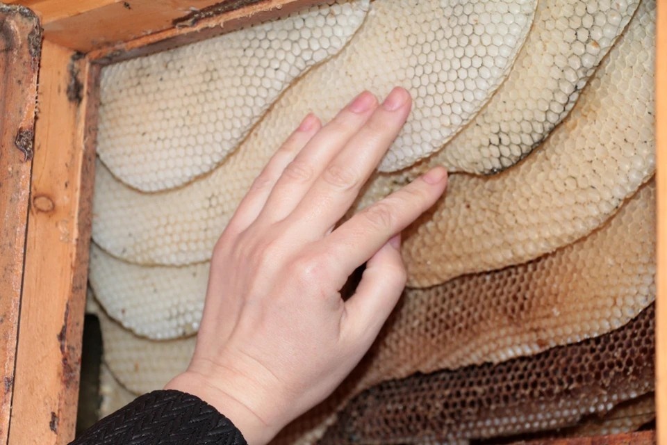    Гражданин получил предостережение. Вячеслав КИРИЧУК