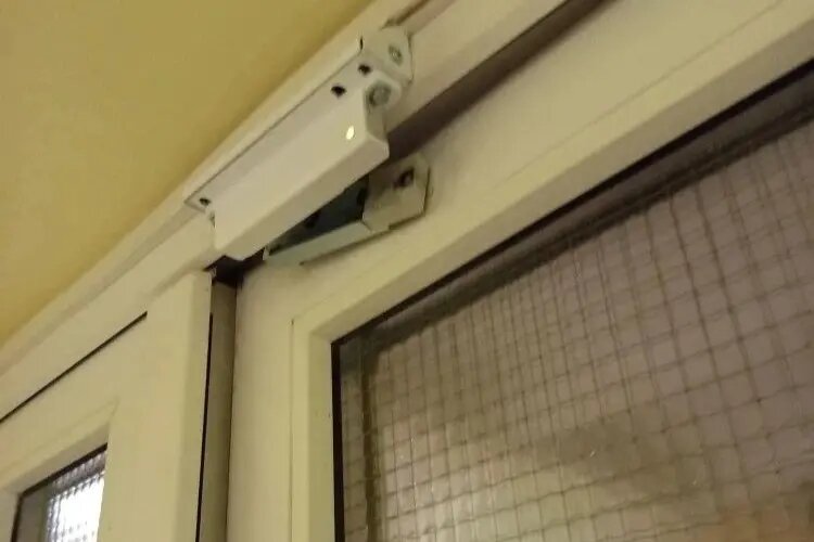    Фото: пресс-служба ГУ Росгвардии по Петербургу и Ленобласти