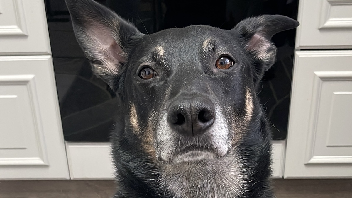 А вы потом напишите в комментариях, схожи у вас мысли или нет 😊!