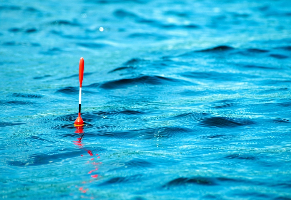 Поплавок на течении