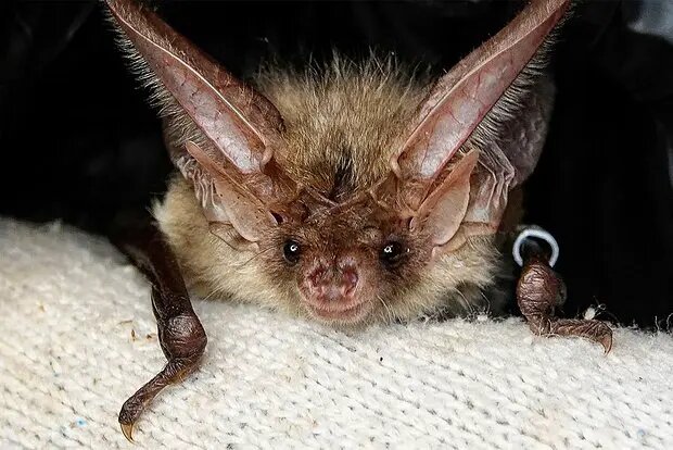    Источник: lenta.ru/ Дмитрий