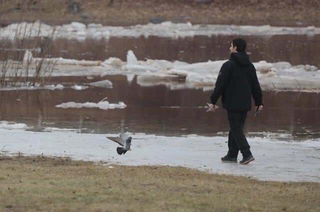    Фото: АиФ-Псков/ Андрей Степанов