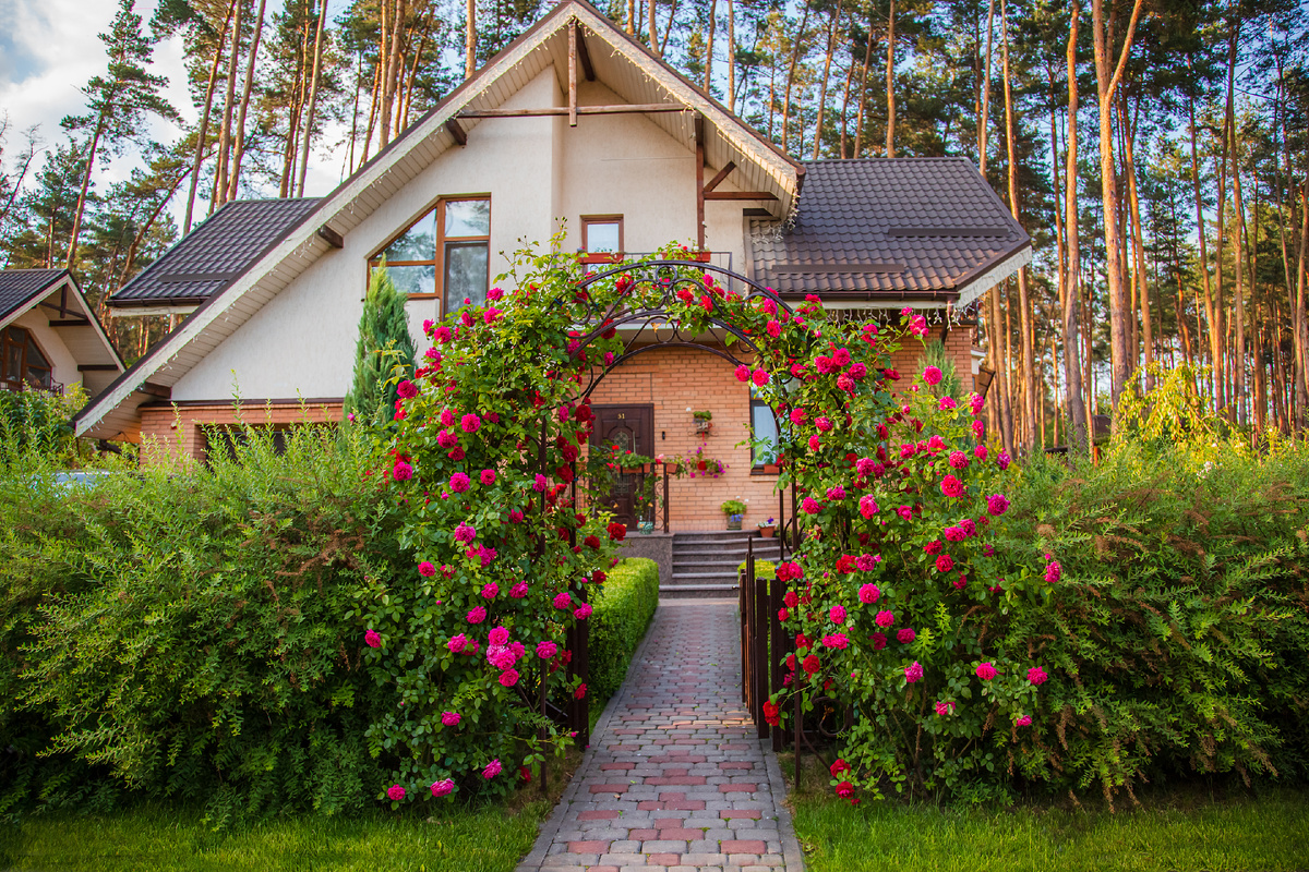 Designed by Freepik. Источник: www.freepik.com