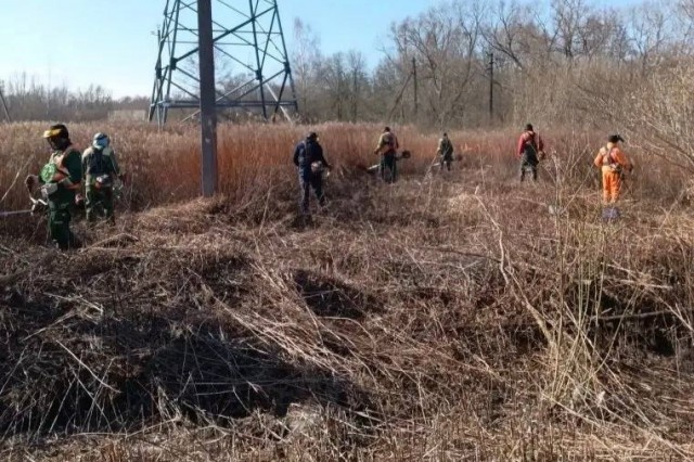   Фото: администрация Калининграда