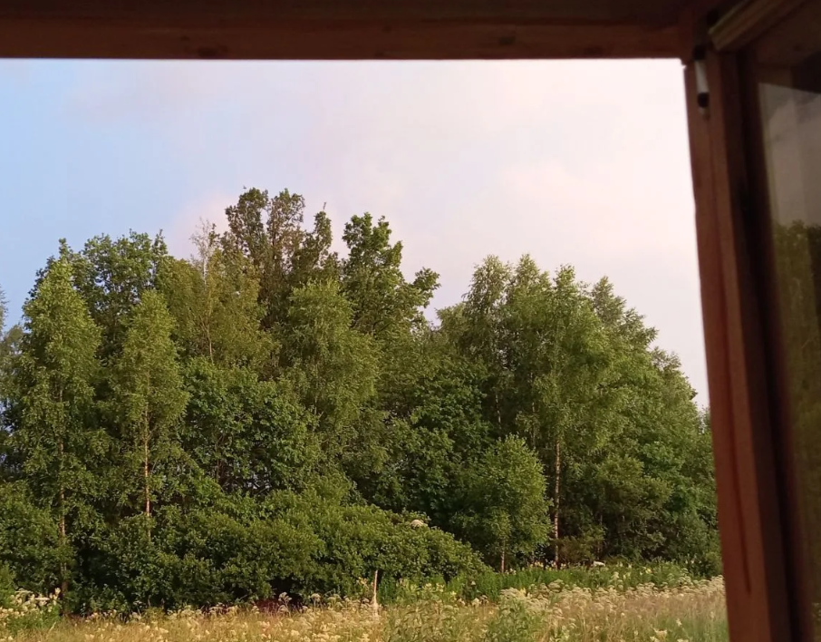 Фото из личного архива автора