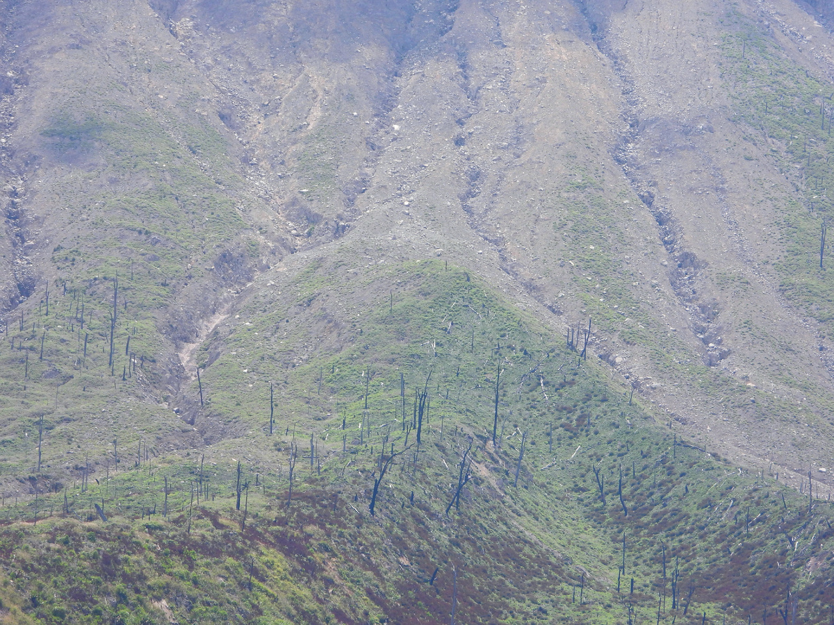 ЛАВОВЫЕ "ДОРОЖКИ"