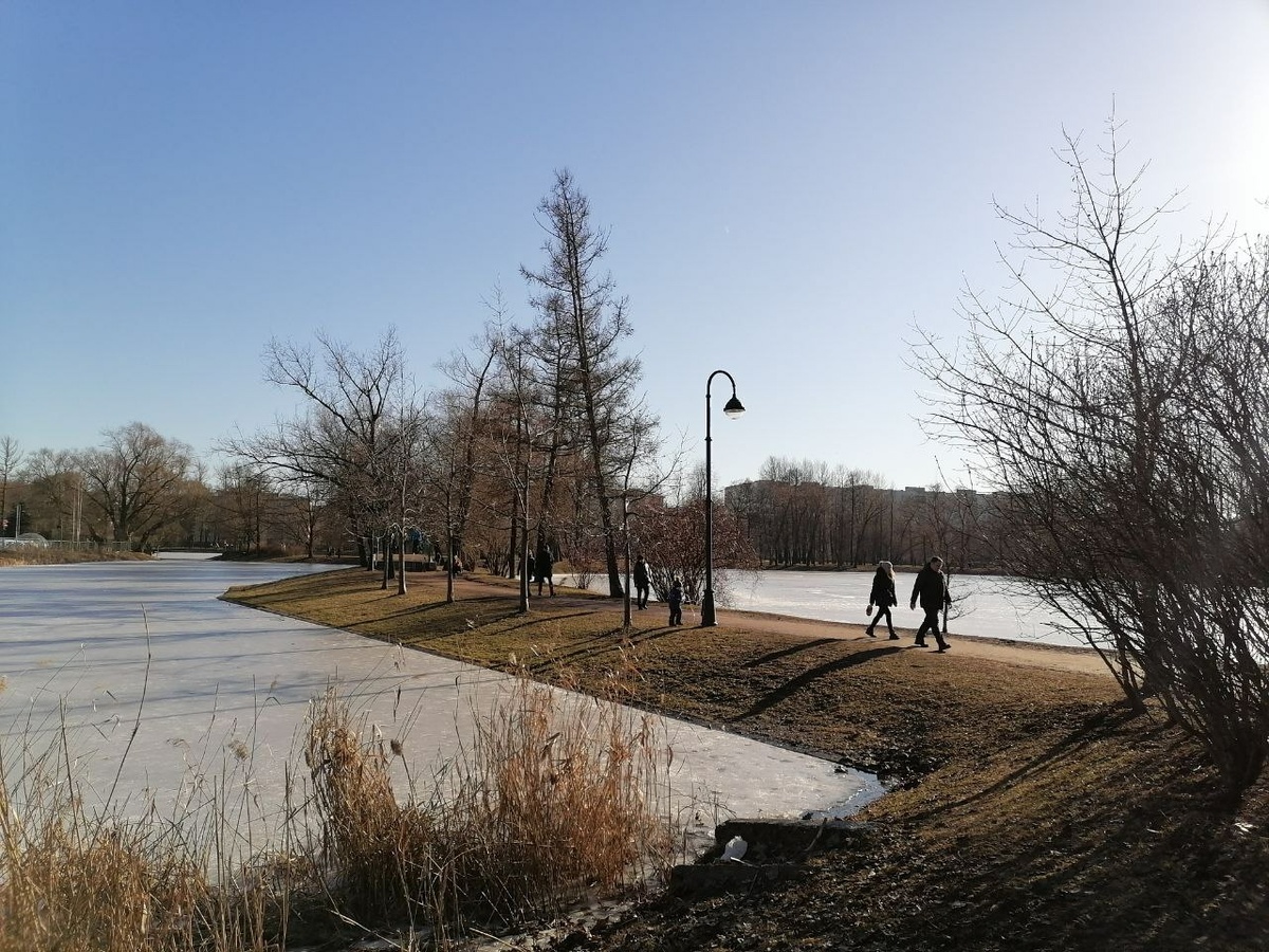 Фото: Neva.Today