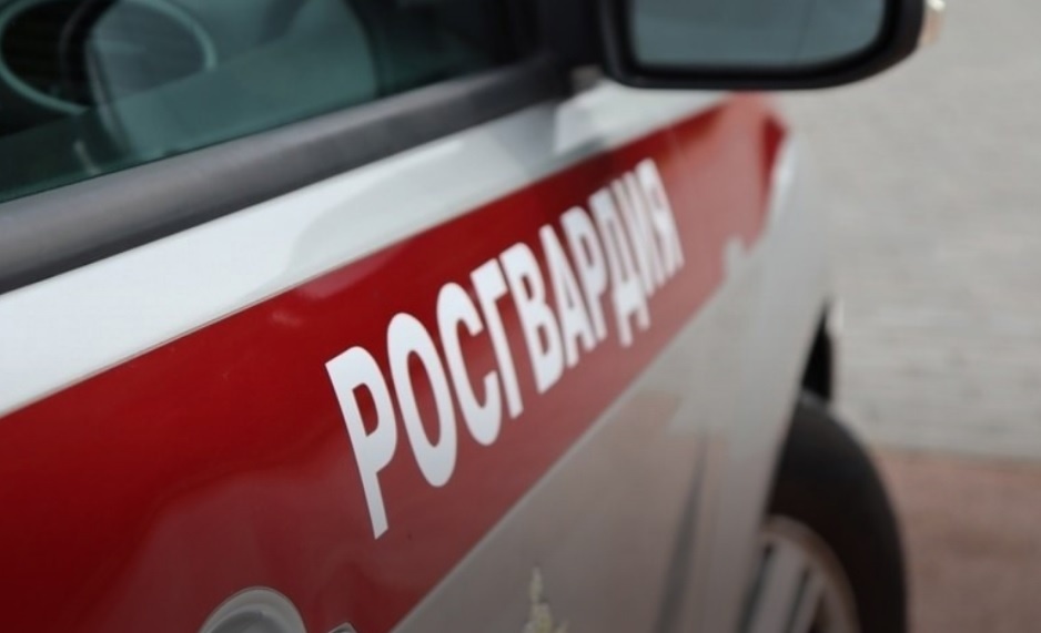 Росгвардия по Петербургу и Ленобласти