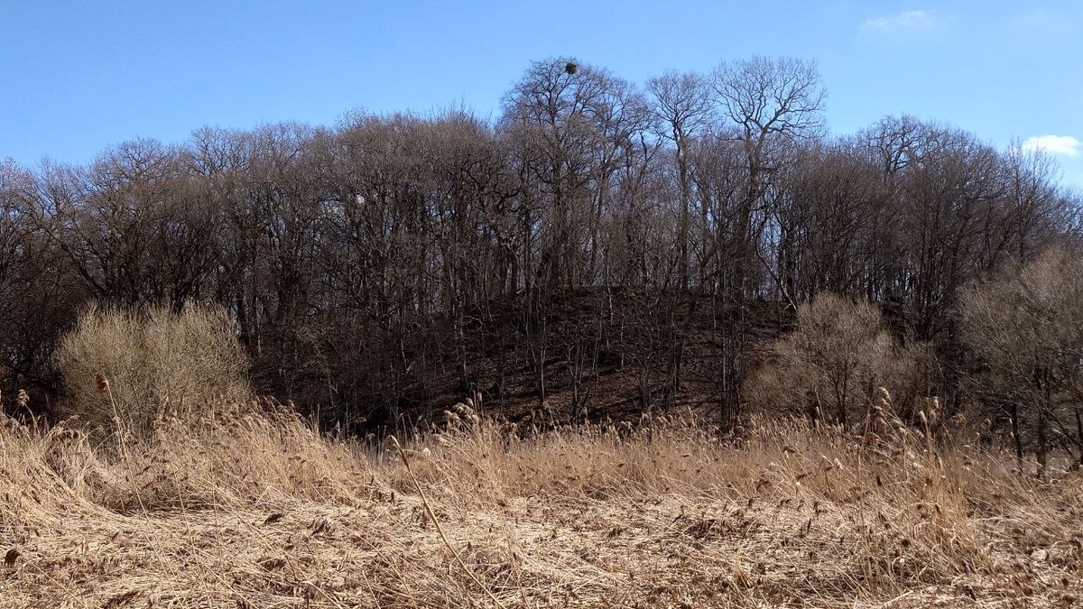 Хюненберг вблизи