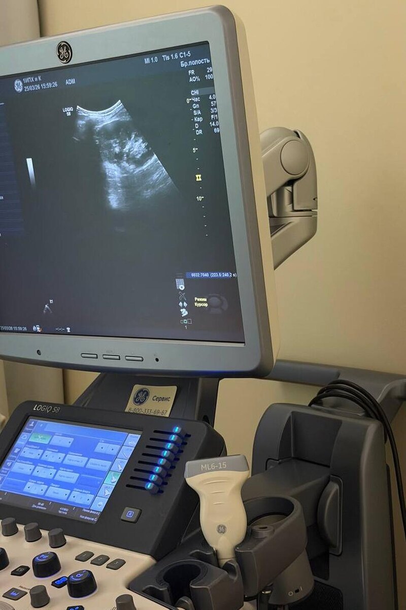    УЗИ Анны Хилькевич Соцсети