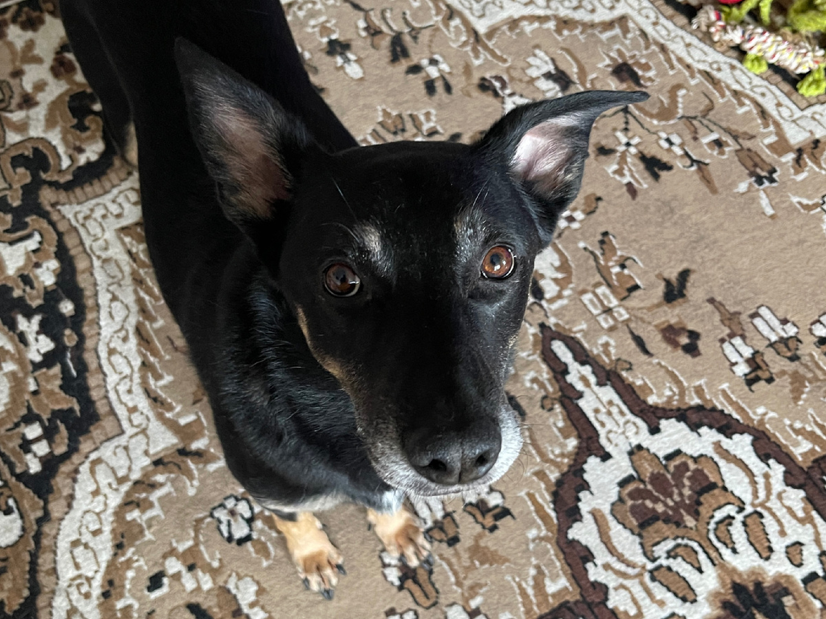 И... Одним решением я вообще не доволен! Догадаетесь каким?