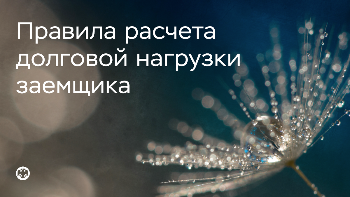 Фото: Yulia Gust / Shutterstock