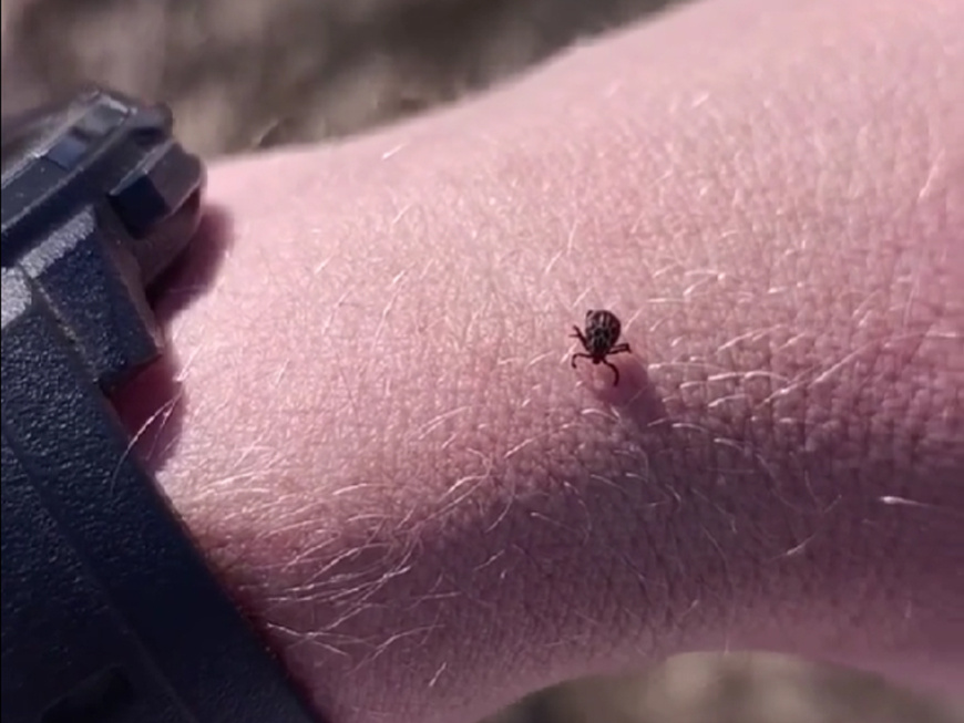 Фото: скрин с видео из группы ВК Охота и рыбалка от и до