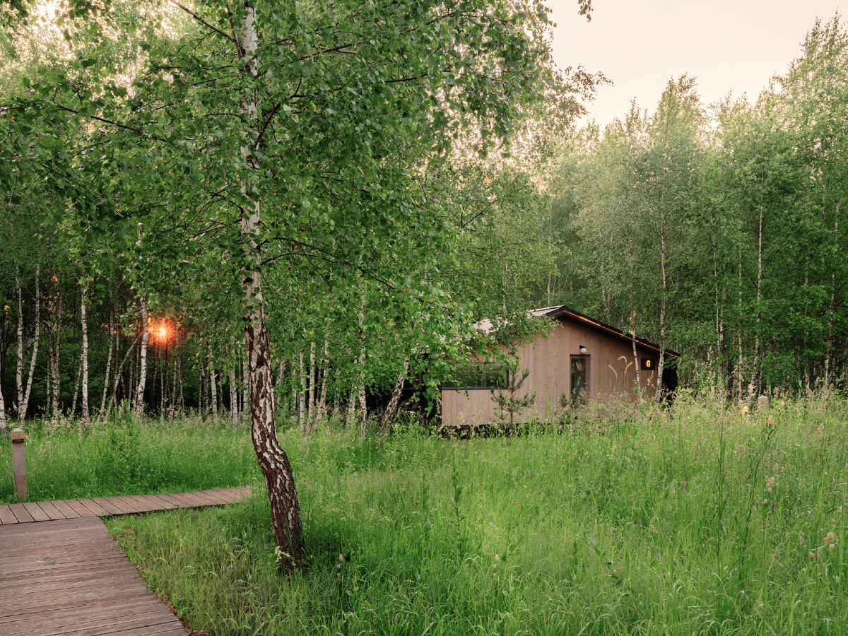 Луговые травы вместо традиционных газонов