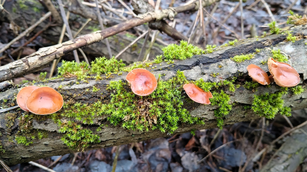 Фото nadja svajkina