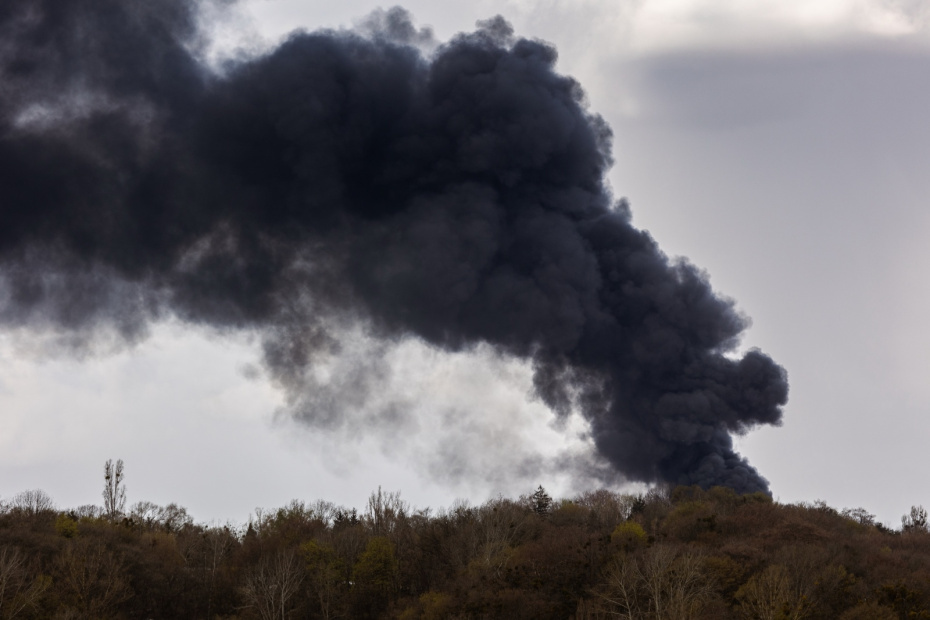    Shutterstock/FOTODOM