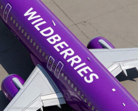 От аэропорта до своего борта один шаг. Источник: Космоинженер