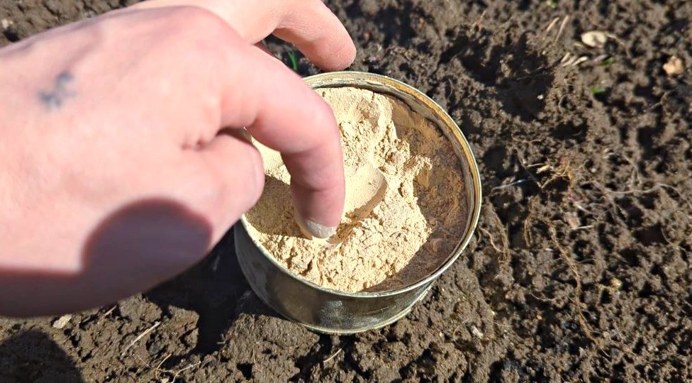 Навоз больше не использую! Весной, сразу после того как сходит снег, я рассыпаю на грядки специальную муку, и с ней всё прекрасно растёт.