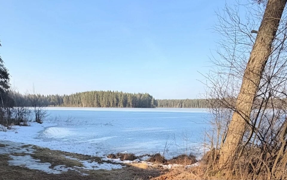    Водолазы обнаружили тело погибшего в акватории озера Стречно. Фото: СУ СК РФ по Тверской области.