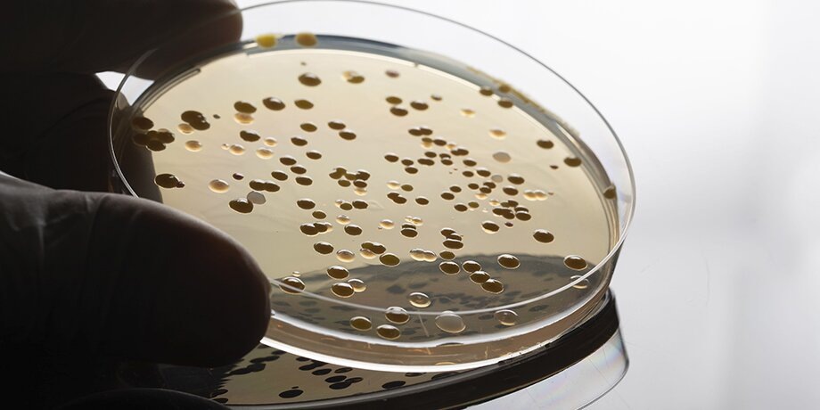    Фото: 123RF.com/sruilk