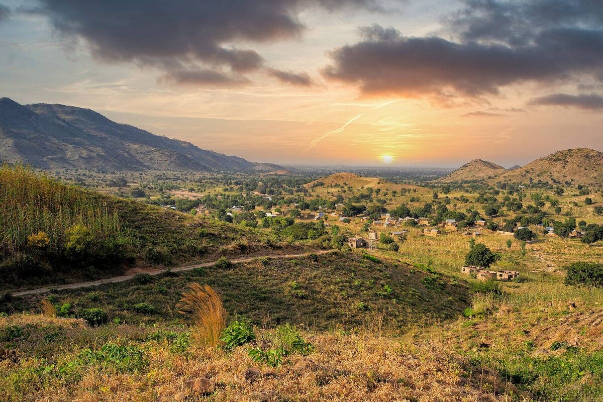     Нигерия   
(сс) Aminucrus