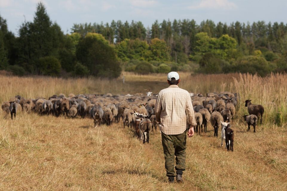    Медиасток.рф