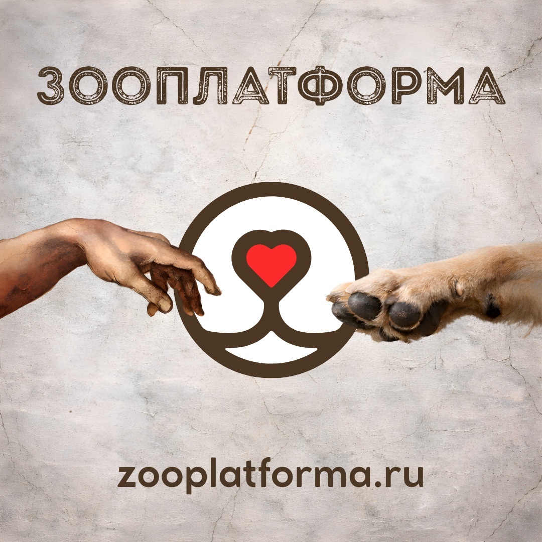 ЗооПлатформа