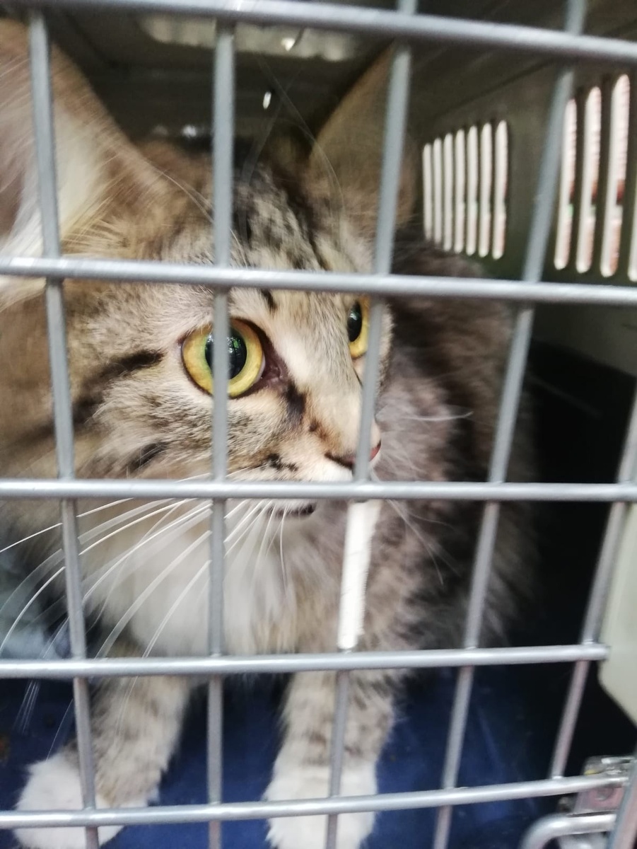 Кажется, не так давно было. А уже почти три года прошло