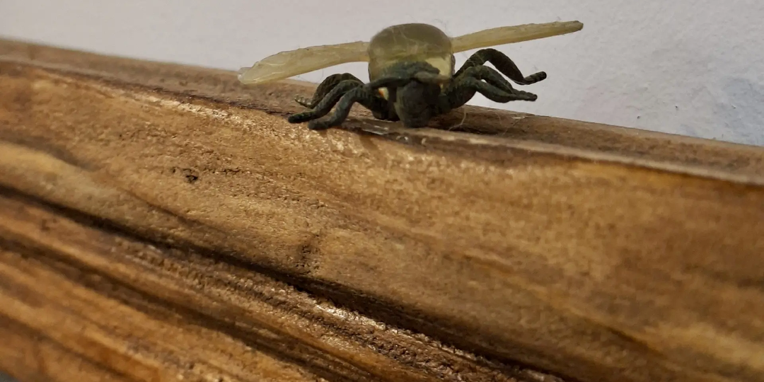 Секретный экспонат «Кладовки. Галереи историй»