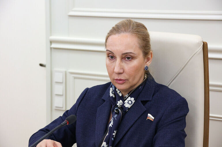   Денис Вышинский/Пресс-служба Совета Федерации