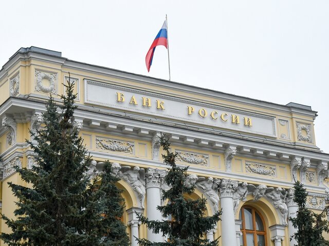    Фото: Москва 24/Никита Симонов