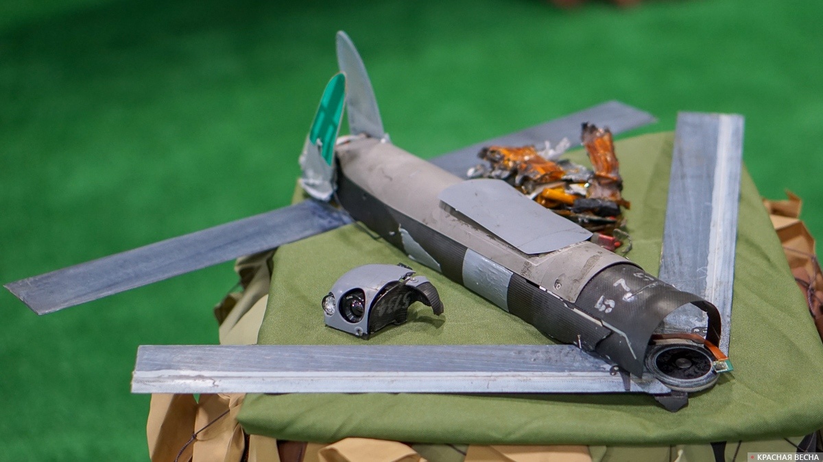     Ударный БПЛА Switchblade (архивное фото)   
Ольга Шматова © ИА Красная Весна