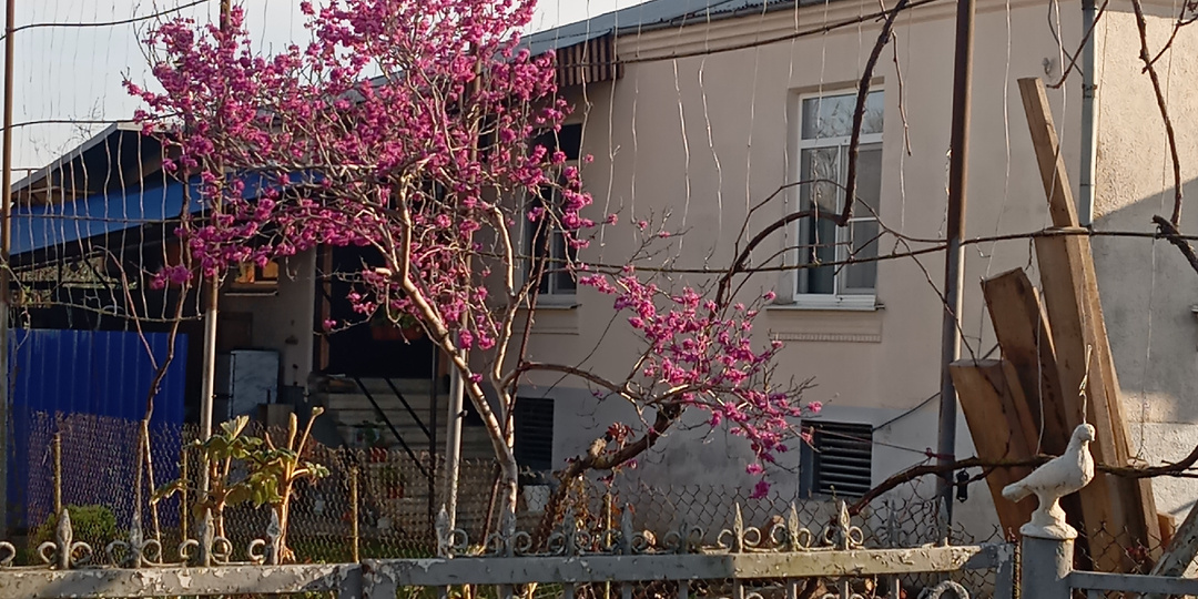 Ещё парочка новостей