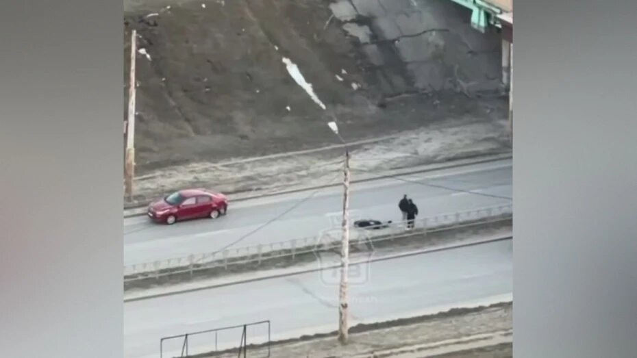    Автор фото: t.me/typicalvoronezh