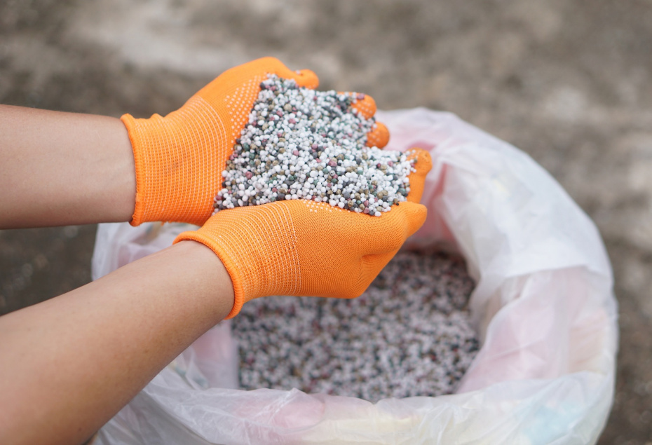    Shutterstock/FOTODOM