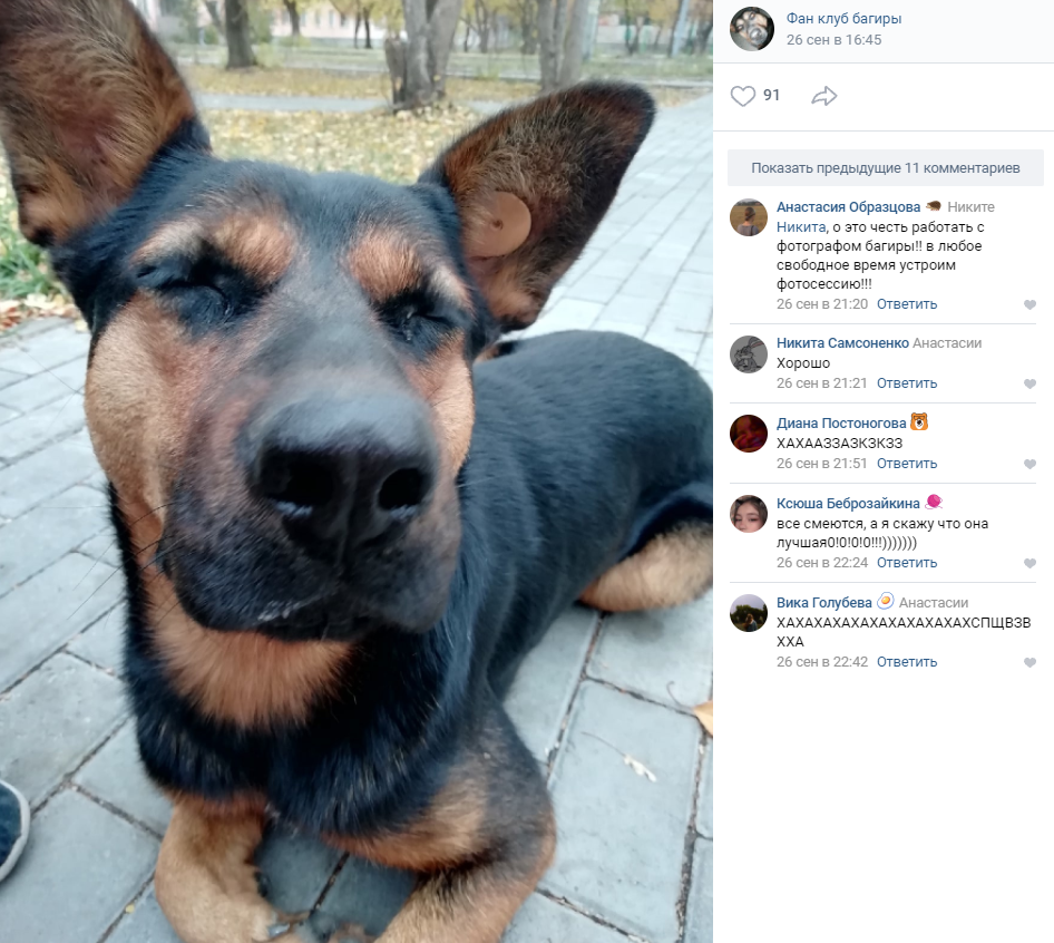 Скриншоты из фан-группы