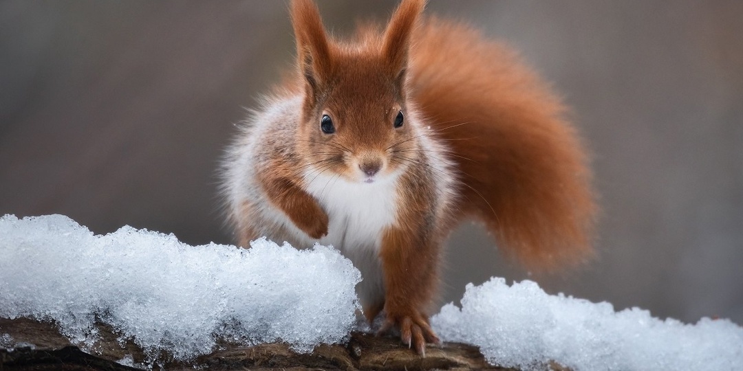 ФОТОГРАФ Валерий Притченко | Россия