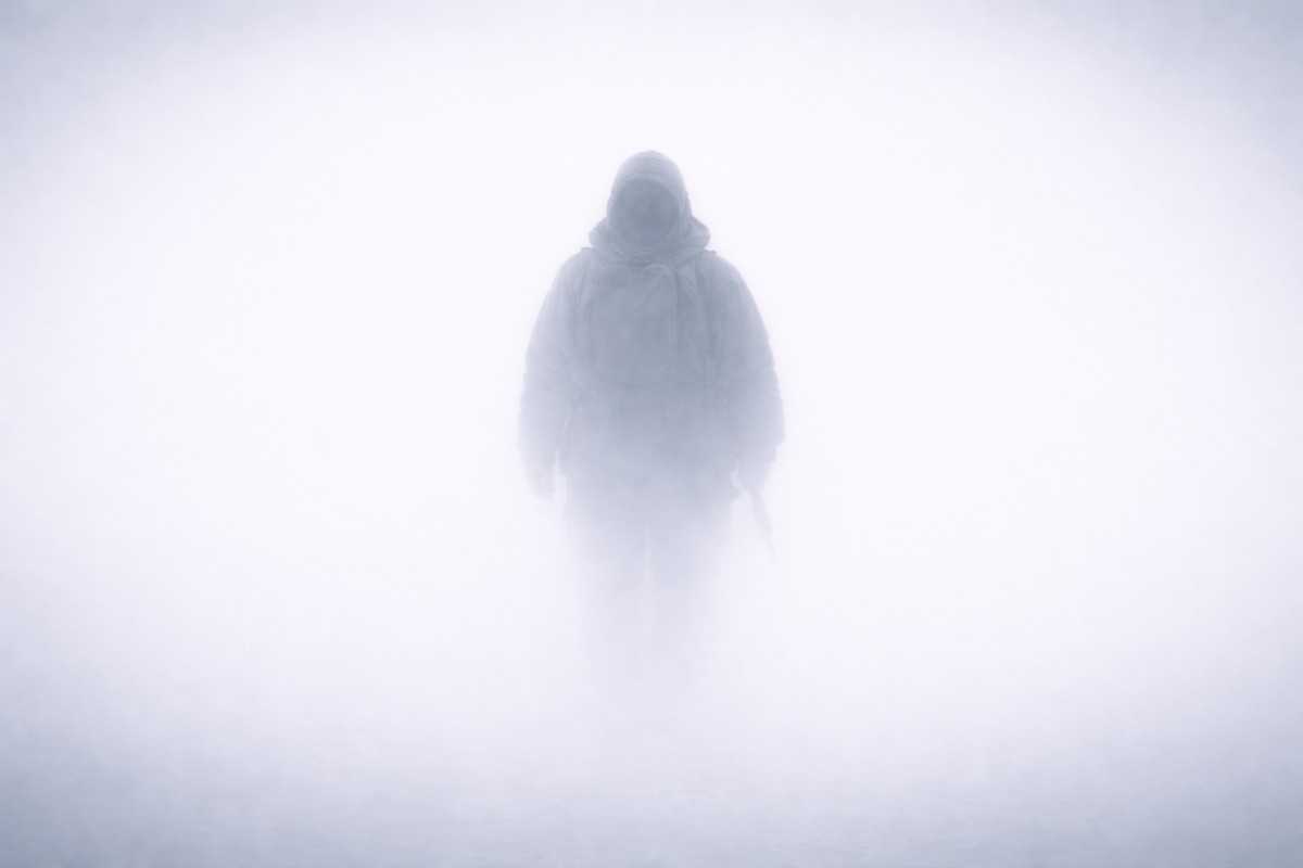 Сначала показалось — это он.