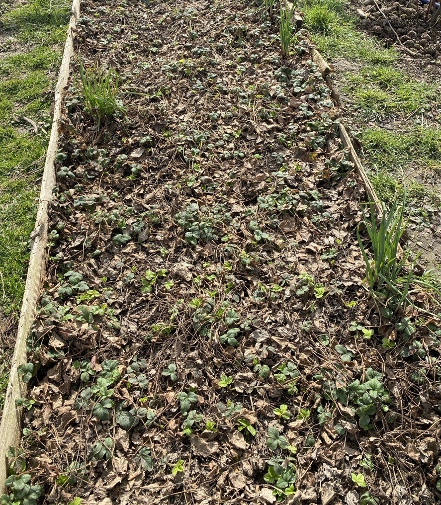 14 марта 2026 года